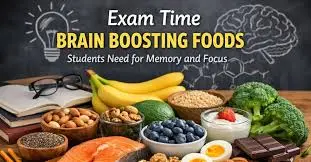 Brain Foods for Students During Exams